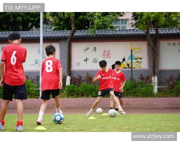 小牛足球：培养未来足球明星的摇篮与梦想的起点